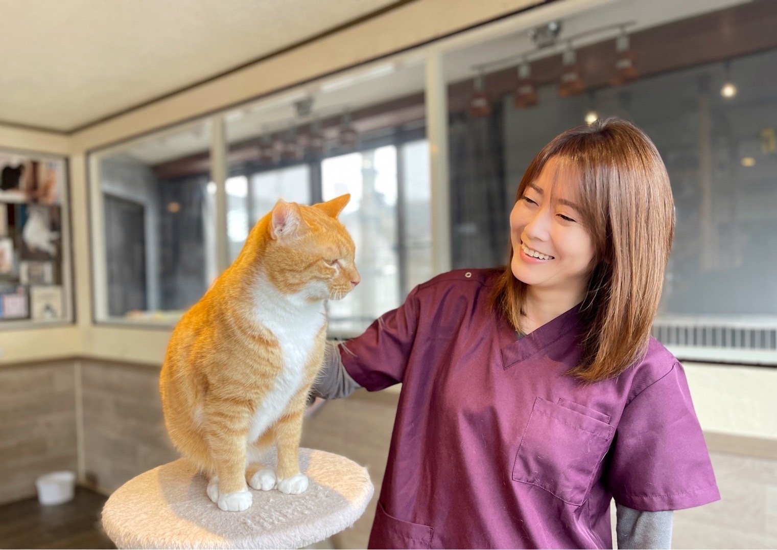 チームメンバーが保護したニャンコ～キンカの物語 - ピースニャンコ