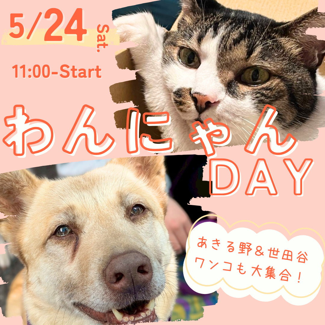 5/24（土）わんにゃんDAY開催！ - ピースニャンコ