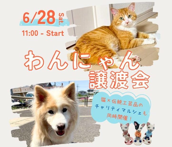 ニャン太様ご依頼品おまとめ6点 f10023511-002.jpg