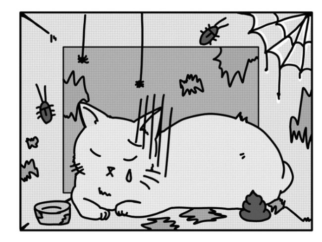 動物愛護法改正の裏で 2 Y20250630 N2 e1751248030225
