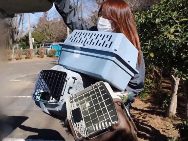 動物愛護法改正の裏で 3 Y20250630 N3 e1751248045785