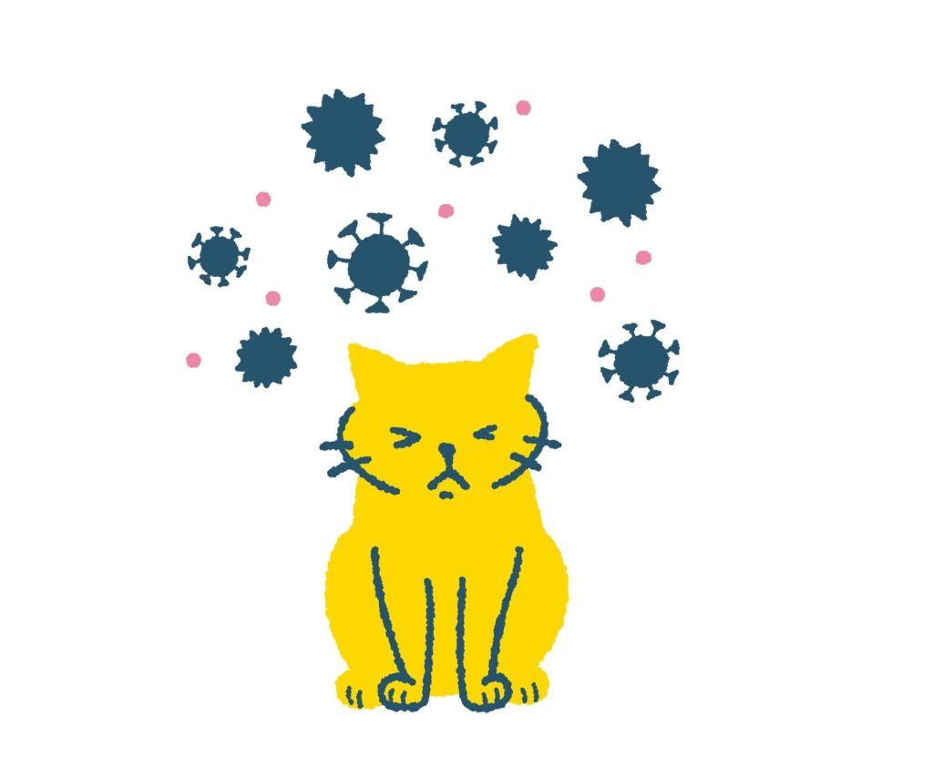 『猫白血病ウイルス感染症(FeLV)』とは?原因・症状・治療・予防まで徹底解説【獣医師監修】 4 bd21eb8cfd879f5869758b708e5c06c4