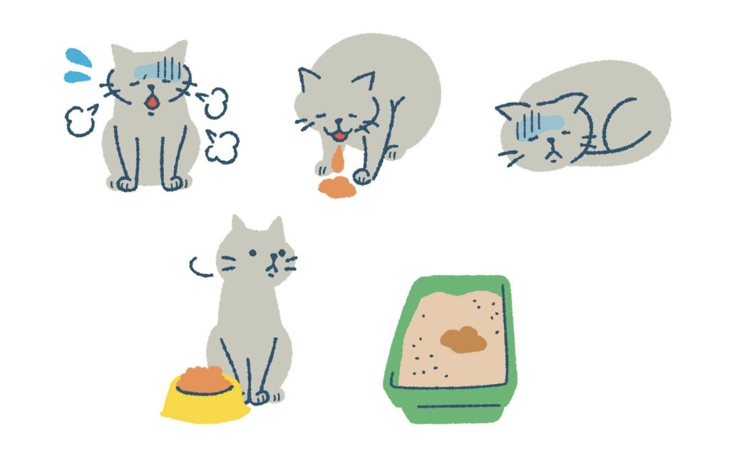 『猫白血病ウイルス感染症(FeLV)』とは?原因・症状・治療・予防まで徹底解説【獣医師監修】 5 08ad7b16a80870b59653791478f1ecfb