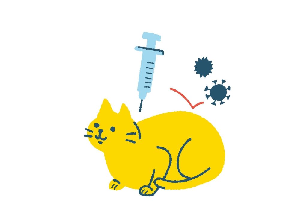 『猫白血病ウイルス感染症(FeLV)』とは?原因・症状・治療・予防まで徹底解説【獣医師監修】 6 55dbd3c03ebb5291728f72a8fd8fcba5