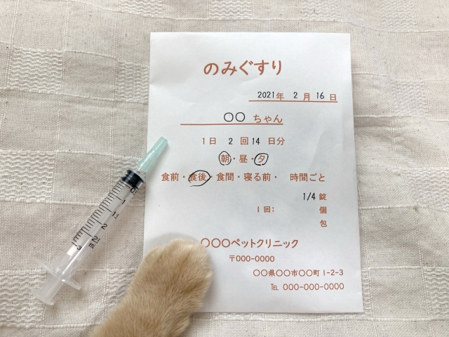 『猫白血病ウイルス感染症(FeLV)』とは?原因・症状・治療・予防まで徹底解説【獣医師監修】 7 e6e4547736ed4eee749a7f654ca5f8ae
