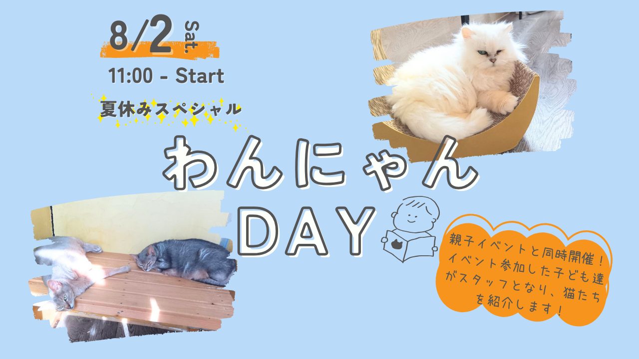 32091df967ccef1ab008bde8859d16a8