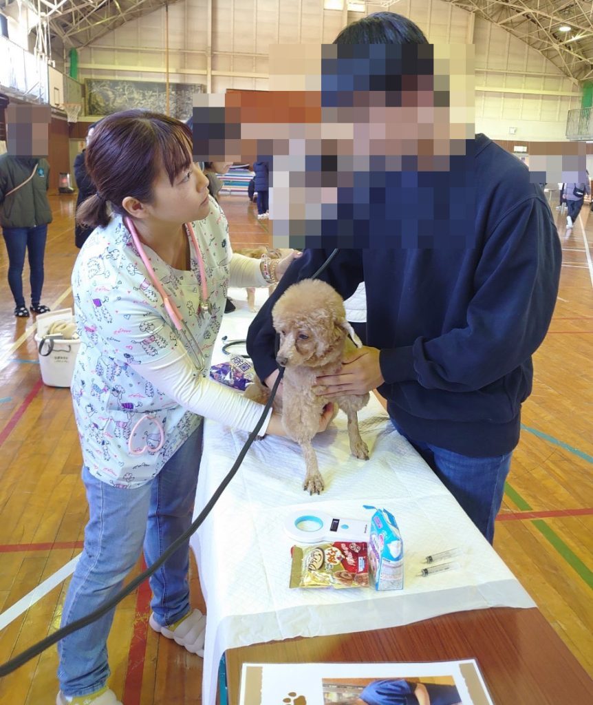 “かわいそう”で終わらせない。保護動物に“役割”を。一般社団法人「HugKu-Me」理事長・牛島加代さんインタビュー 5 269b89ec32c6e598246dd5b6220ebb22 e1753147266368