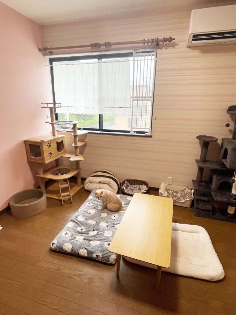 “かわいそう”で終わらせない。保護動物に“役割”を。一般社団法人「HugKu-Me」理事長・牛島加代さんインタビュー 7 2fa08c24502e2a0b9c2694d43e1dd343