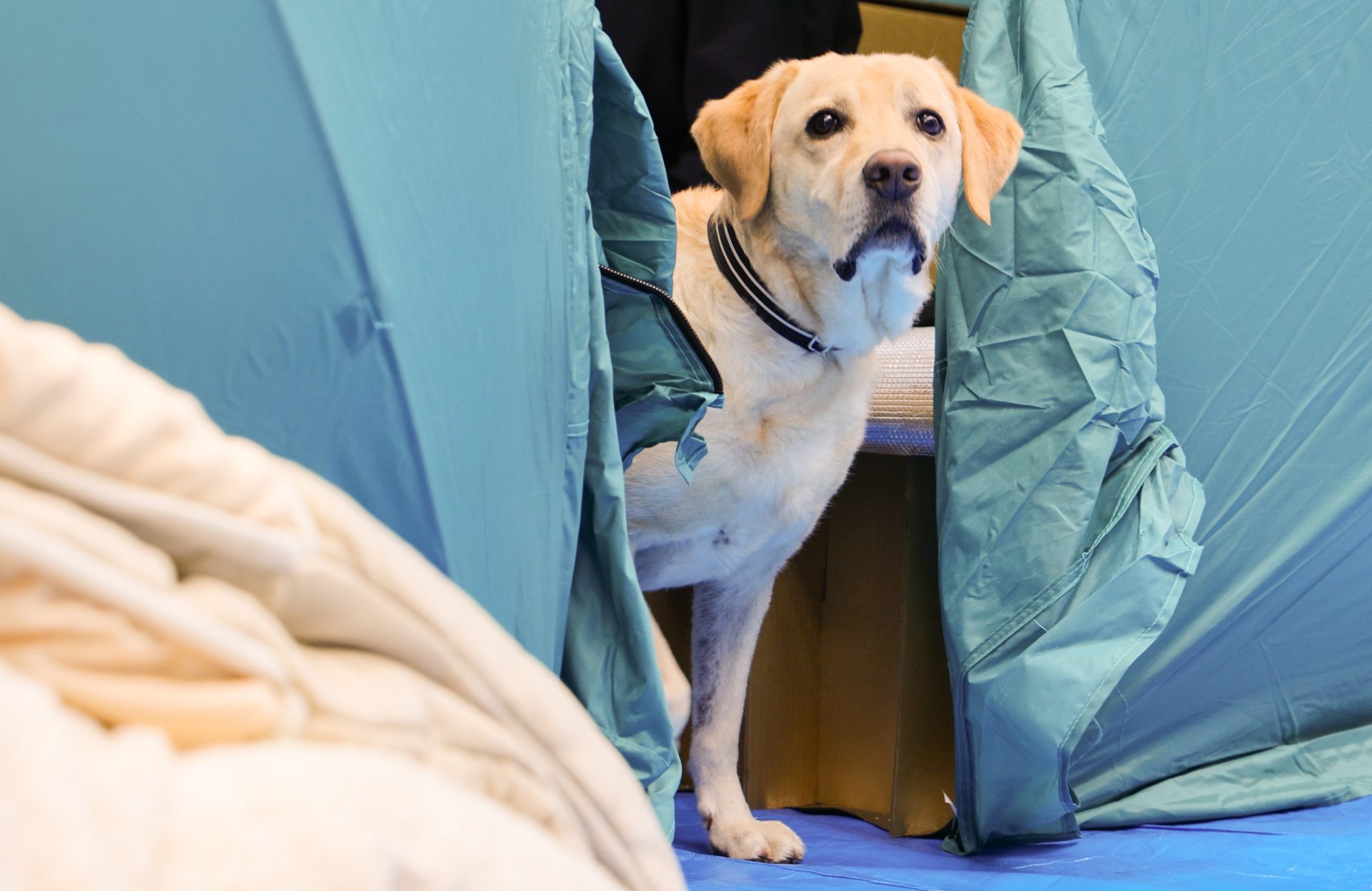 c80c9893a6d9630426b4257787ffa04d 1