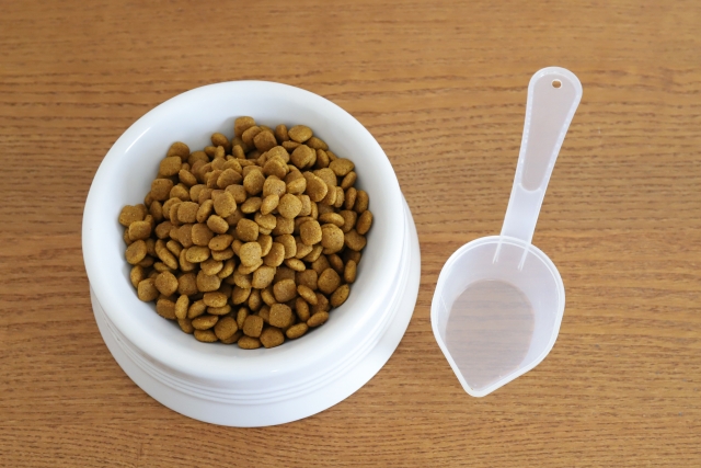 猫の食事量はどれくらい?年齢や体重に合わせた適切な計算方法を解説! 2 16144f33c0e2c3ba582b992bc4d2e41b