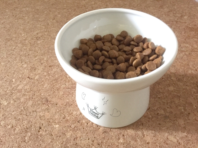 猫の食事時間はどう決める?適切な回数や与え方の注意点を解説! 5 816c5168be3fa224aa184adf31835e0d