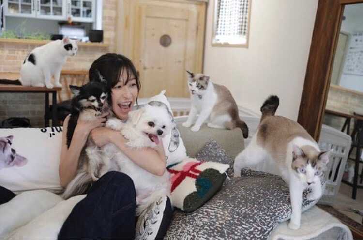 保護猫活動の現場から—タレント 小野真弓さん 3 3 1757816743495