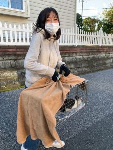 保護猫活動の現場から—タレント 小野真弓さん 5 2be1336f1a40ad215e6b091a7f81dac7