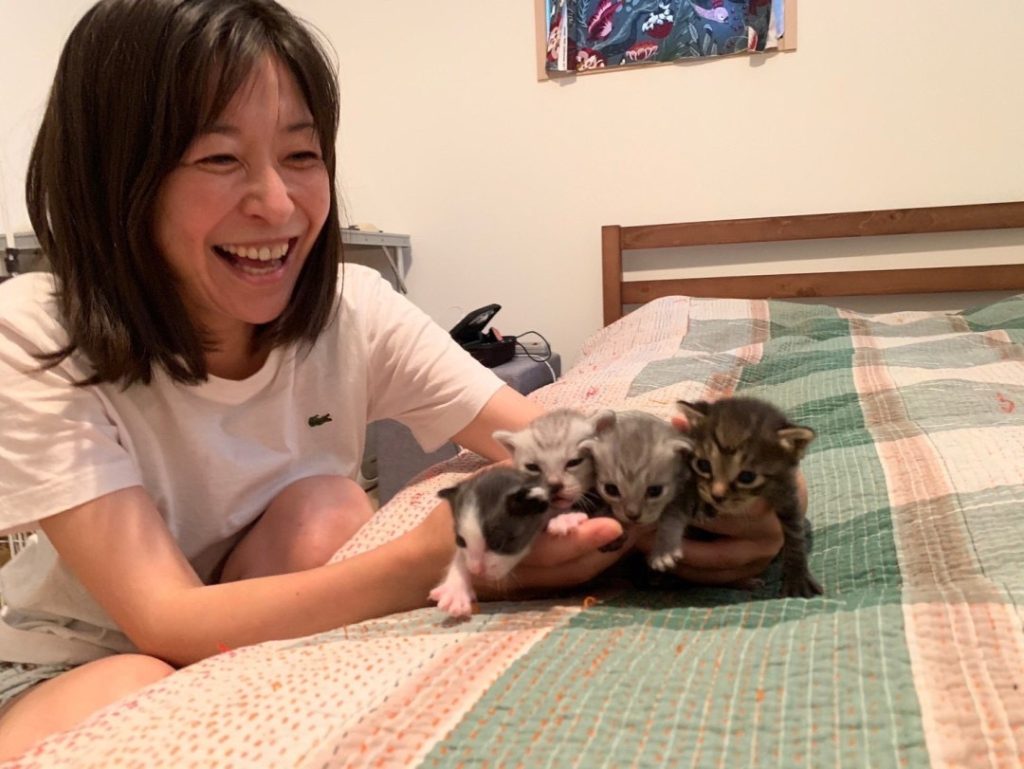 保護猫活動の現場から—タレント 小野真弓さん 6 9e2f6bfa85e6f004a3faf0fd0d1b3b47