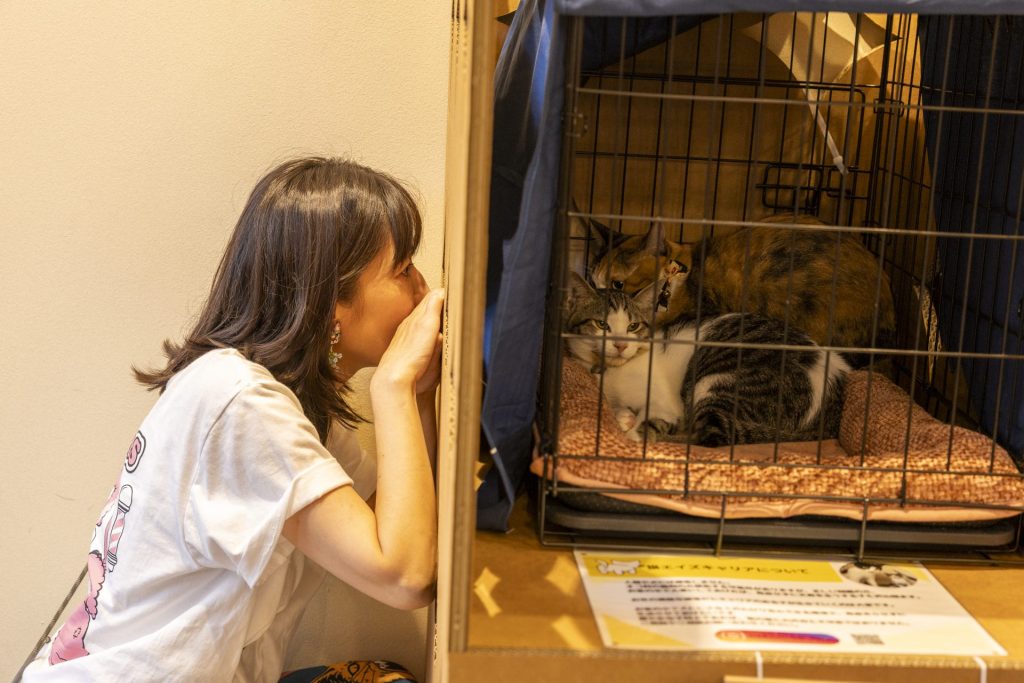 保護猫活動の現場から—タレント 小野真弓さん 7 7 1C7A9102