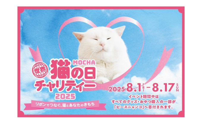 d62c6bc10fe21f2e7f31243c8241fd1c