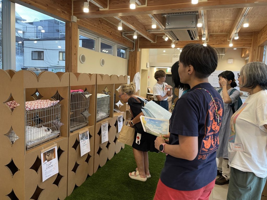 【イベントレポート】動物愛護週間9月20日(土)から9月26日(金)に「Wan Dream Garden〜保護犬猫と人の幸せな暮らし方〜」を開催しました! 4 IMG 3281