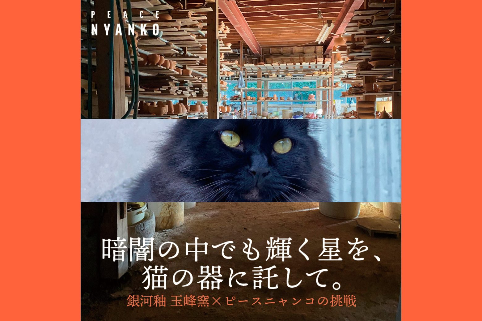 08d4e8d0d642688cc59e8a90dac6824e