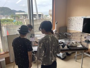 【イベントレポート】ピースニャンコが佐賀県生活衛生課と共催し「いっしょけんね×ピースニャンコ“佐賀ニャンふぇす”」を開催しました! 3 IMG 3742