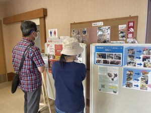 【イベントレポート】ピースニャンコが佐賀県生活衛生課と共催し「いっしょけんね×ピースニャンコ“佐賀ニャンふぇす”」を開催しました! 6 IMG 3733