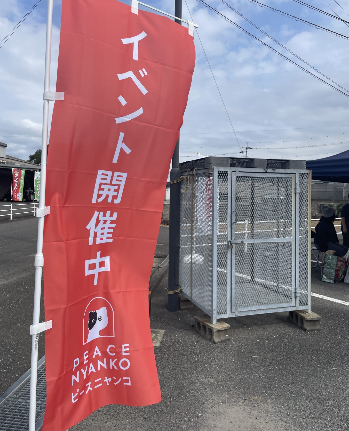 【イベントレポート】ピースニャンコが佐賀県生活衛生課と共催し「いっしょけんね×ピースニャンコ“佐賀ニャンふぇす”」を開催しました! 1 IMG 3736 e1761010802487