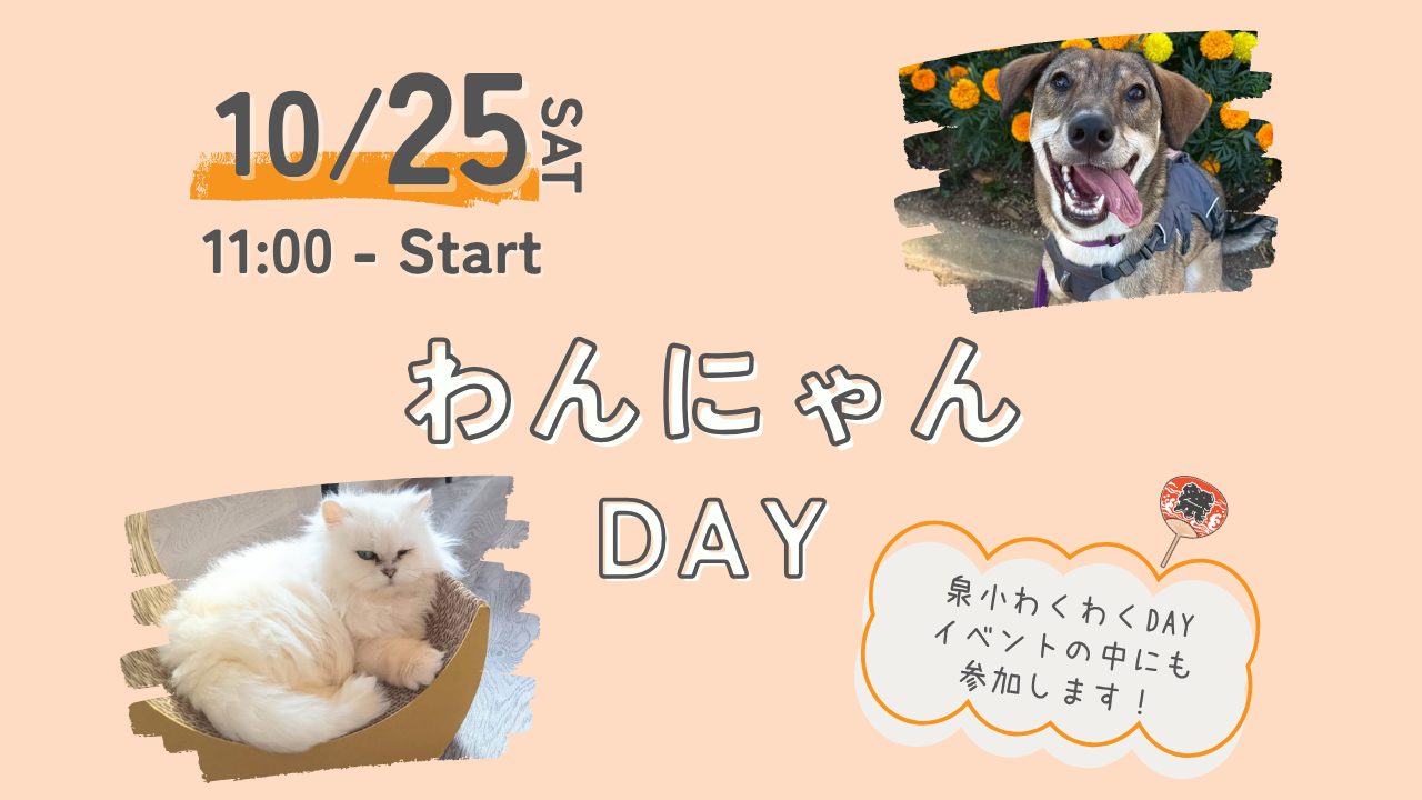 6e9925bd6dc1f98569153b64068c325e 1