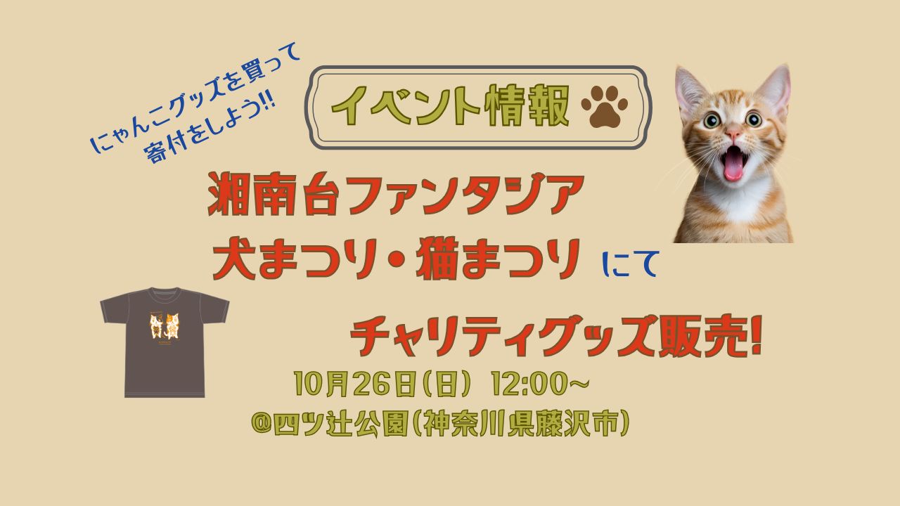 a0c8858edb7369cf4052f0955b4a7c7a