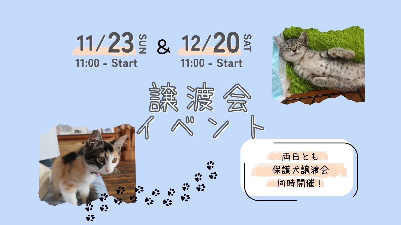 80993cb9be4568c3323d3e4824d3a253