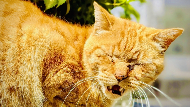 3eb6b37dda68543fab709db80e834c30