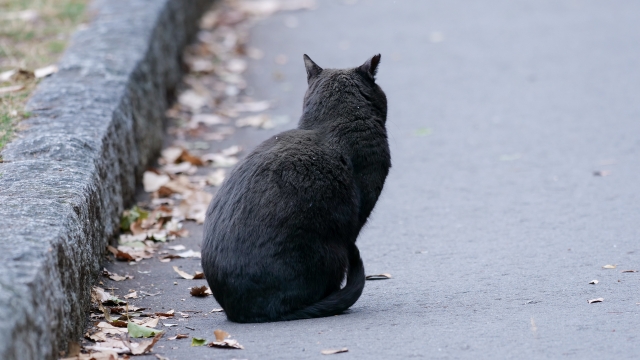 b5889fb46afdd65e5cf325fc92c3fae4 1