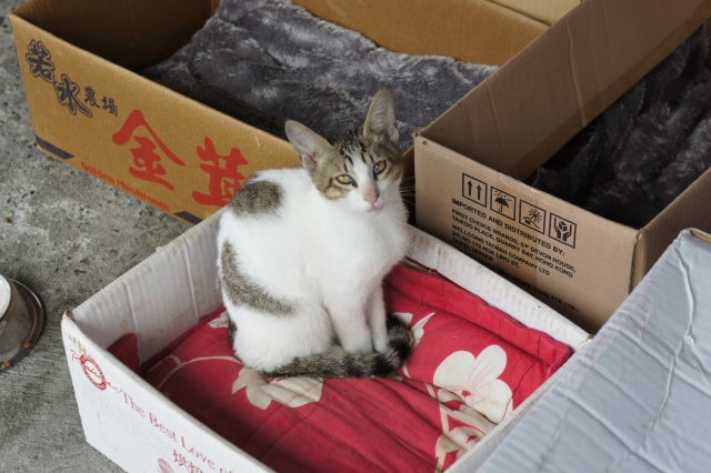 1651b31acef0627c97e2ea8c09b36a3f 1