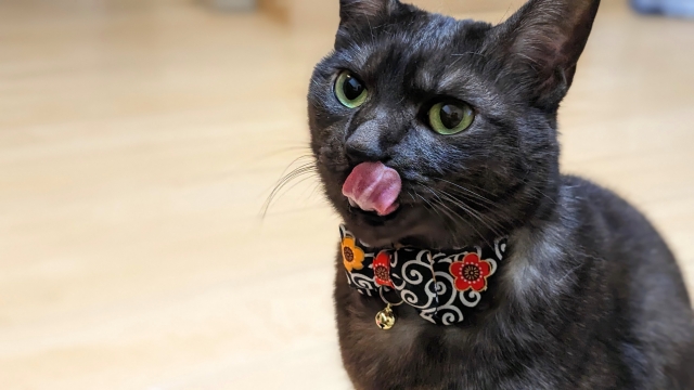 767a01267729760cd5b26bacbdfa74e8