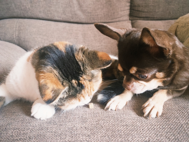 57a0ad2717f59cf7458c1605e04213d3