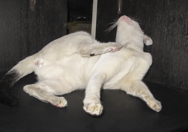 014792912bb5db603c381137c0a34246