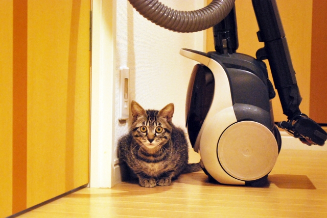 a1b714943a1376f78371cf9cead45e03