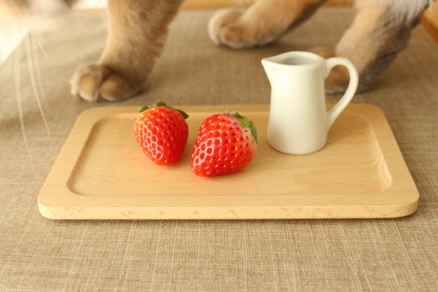 猫にフルーツを与えても大丈夫?食べられる種類と危険なものを一覧解説! 5 1d9a97a801881878a903bd3abcd66adb