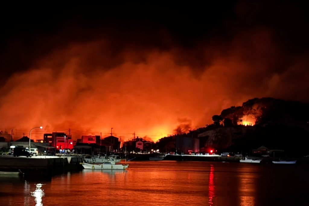 【大分市大規模火災 緊急支援】ペット支援チームを派遣し、地域と連携して捜索保護・物資支援を実施しました 2 2