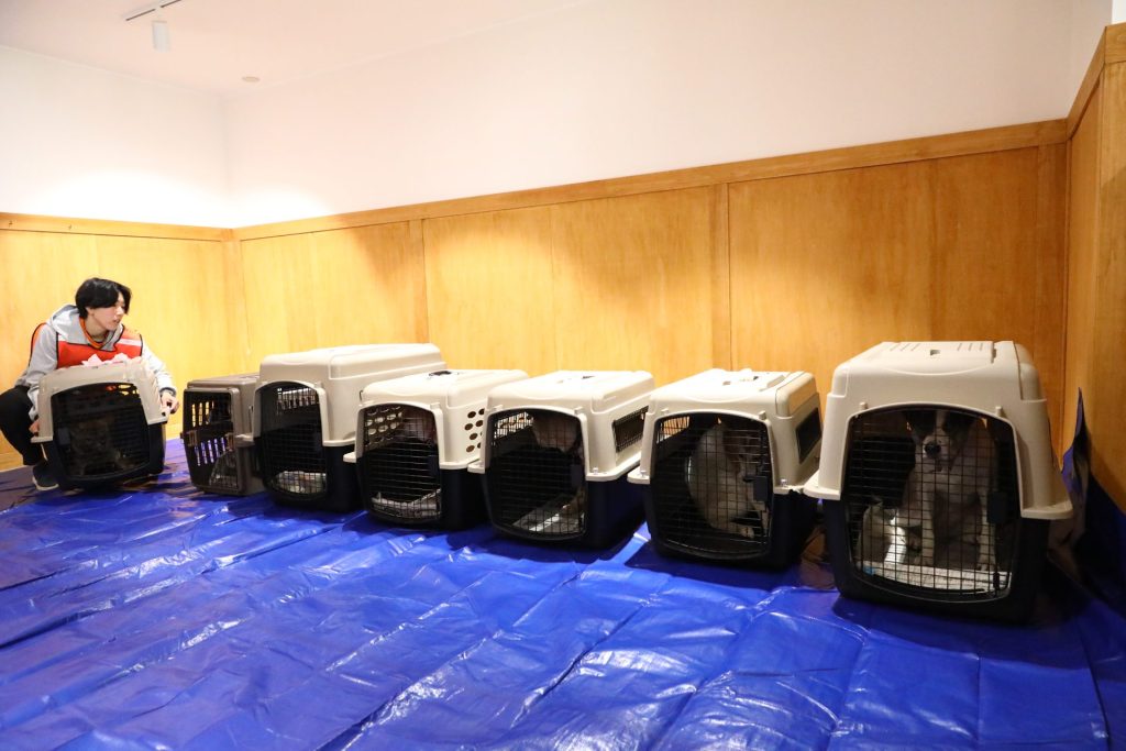 【ペット防災】ピースワンコ浜松譲渡センター、南海トラフ想定で初の「ペット同行避難所開設訓練」を実施 4 IMG 5650