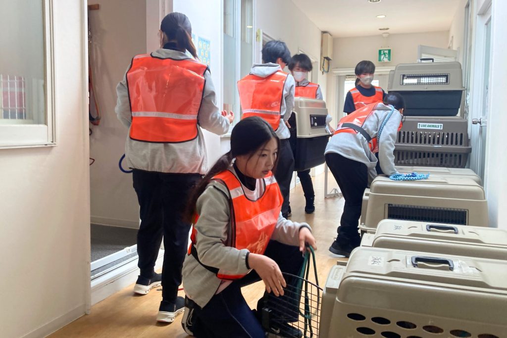 【ペット防災】ピースワンコ浜松譲渡センター、南海トラフ想定で初の「ペット同行避難所開設訓練」を実施 3 2 1