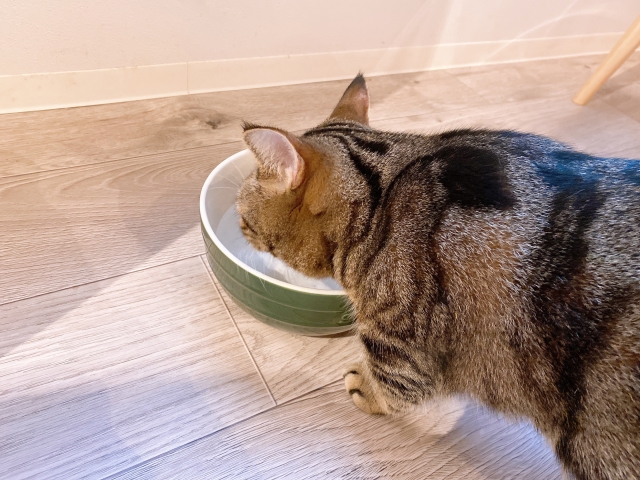 1035e990a109fec6224822fde5d3c3a8