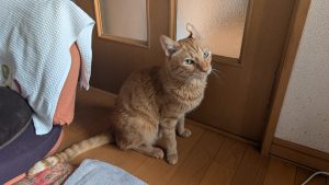 2 PXL 20251202 050704076