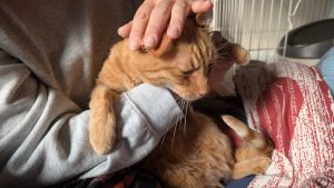 5 PXL 20251202 042059974