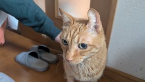 6 PXL 20251202 042907661