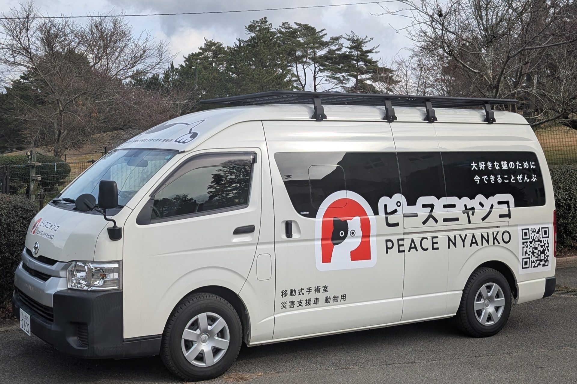 PXL 20251201 044300399