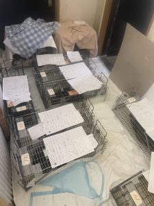 2026年から佐賀県で移動手術車の運用が始まります 10 IMG 3443