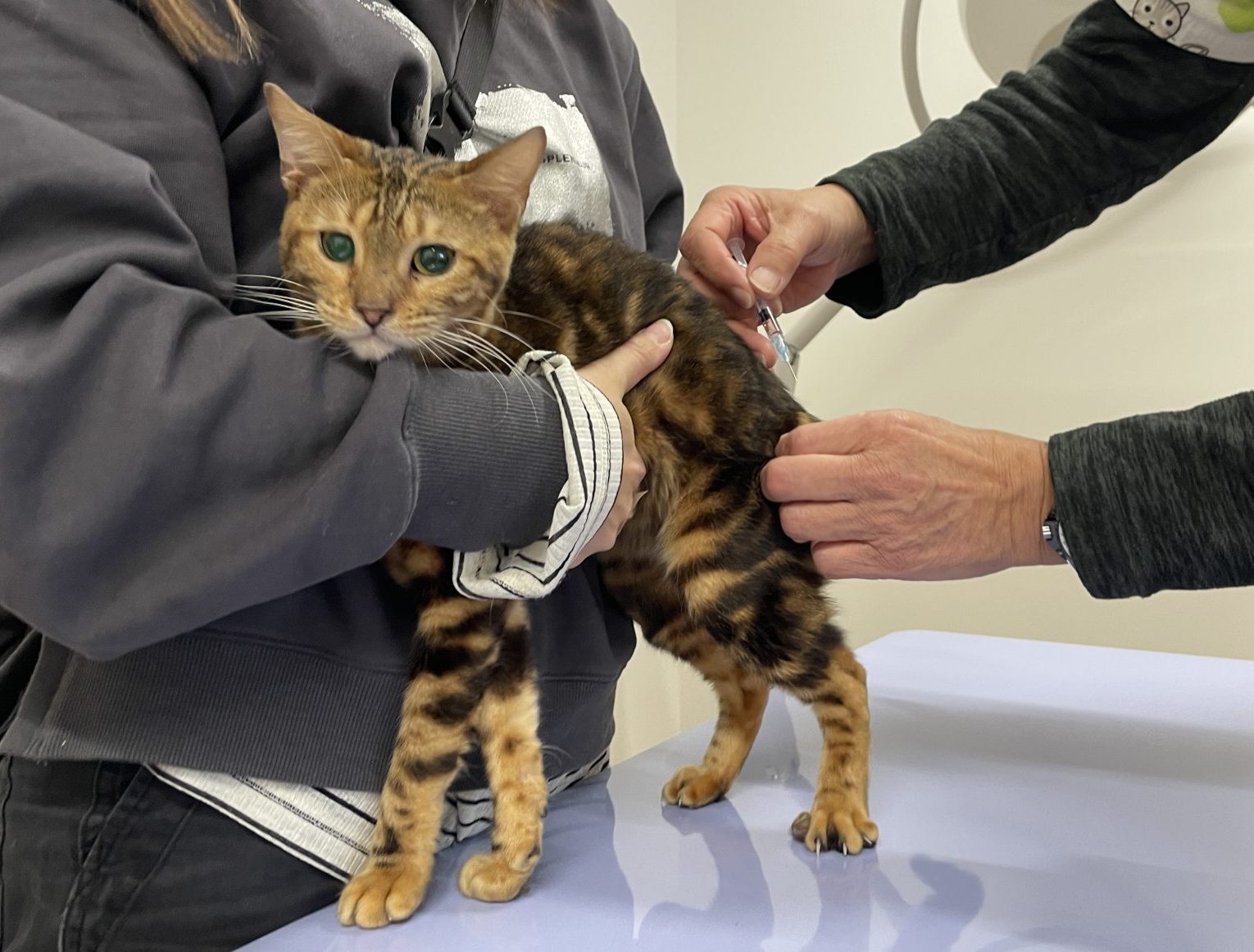 IMG 6217 1 e1767681728478