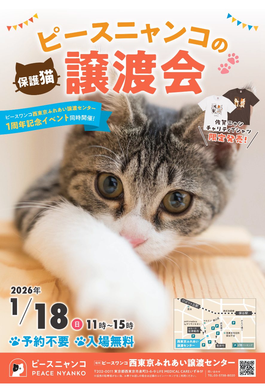 534890ce889c7790adfb8782ca31b316