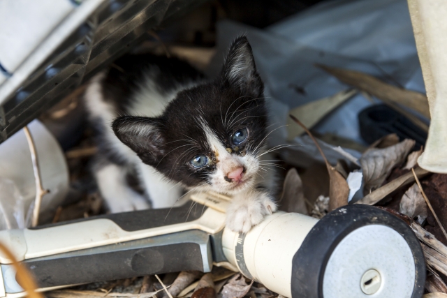 7027df275cfacaa36147dcdf7741d064