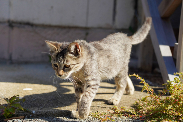 2994348bf3e6d29844d2051a637e2793