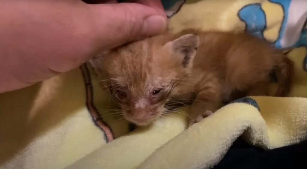 b6ba90c42802ad0f2caa810785fbe13c